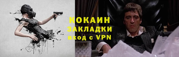 гашик Магас