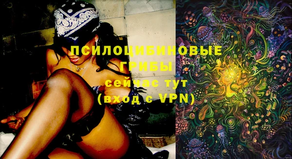 гашик Абдулино