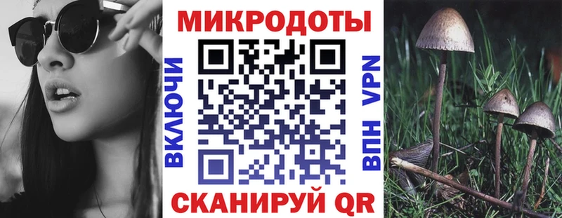 Галлюциногенные грибы Psilocybine cubensis  Воронеж 